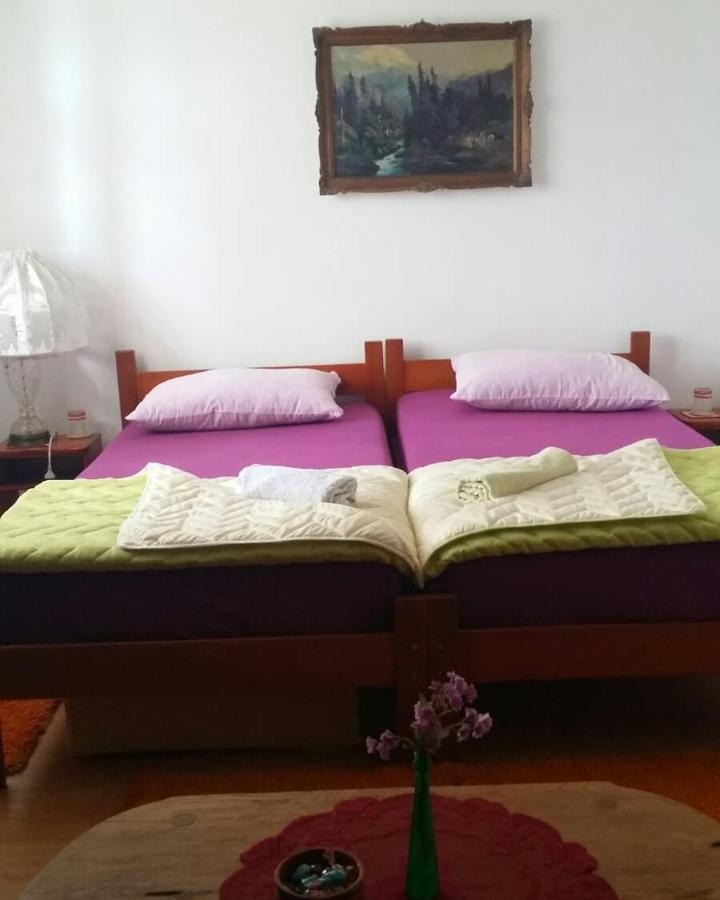 B&B Jonovic Donji Milanovac Exterior foto