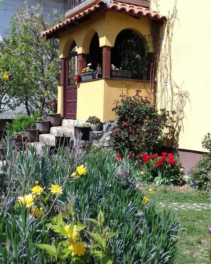 B&B Jonovic Donji Milanovac Exterior foto