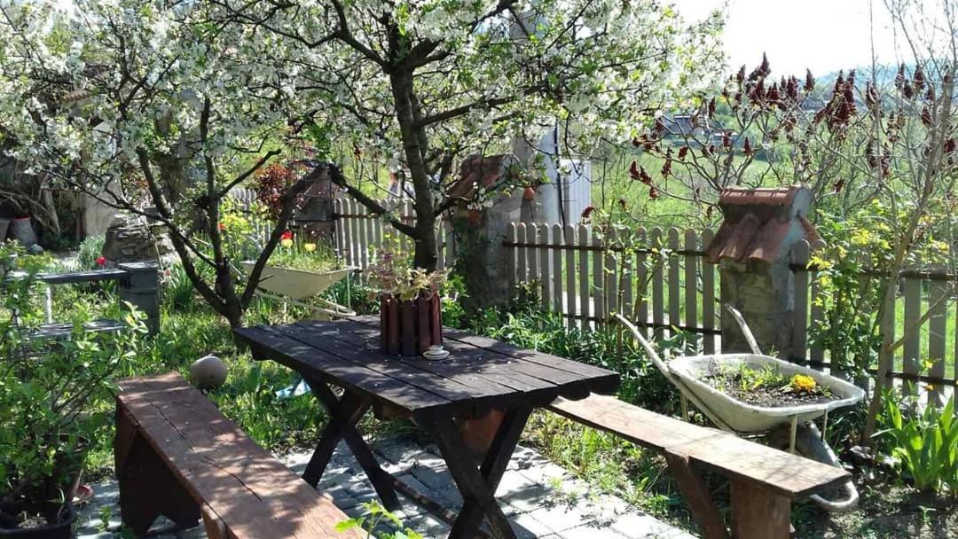B&B Jonovic Donji Milanovac Exterior foto