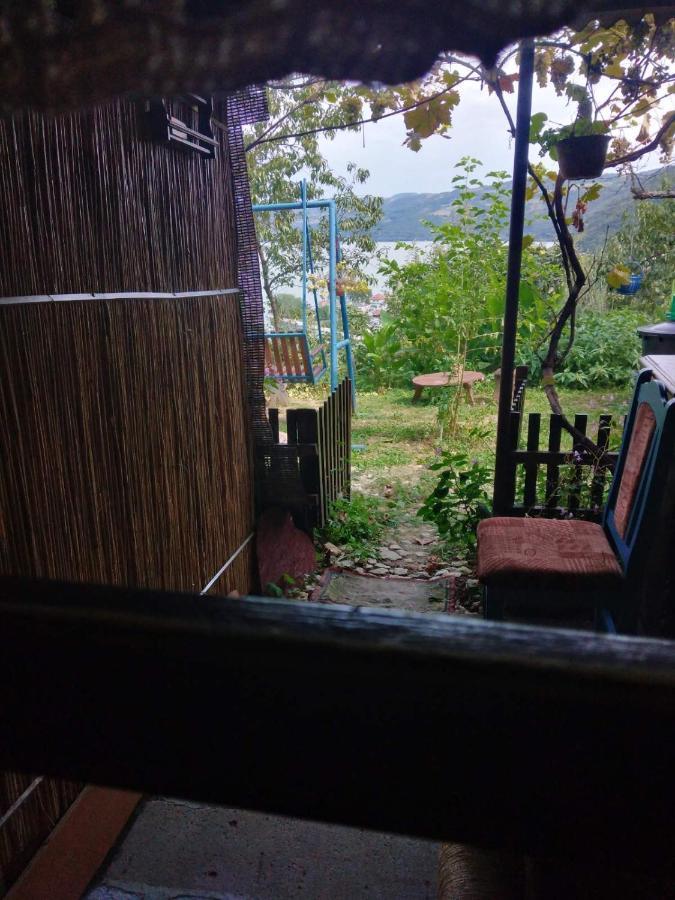 B&B Jonovic Donji Milanovac Exterior foto