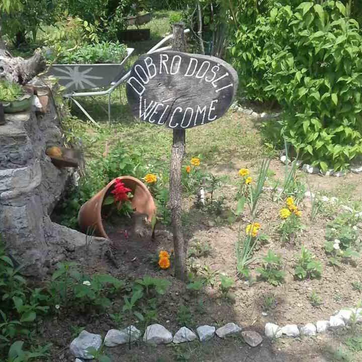 B&B Jonovic Donji Milanovac Exterior foto