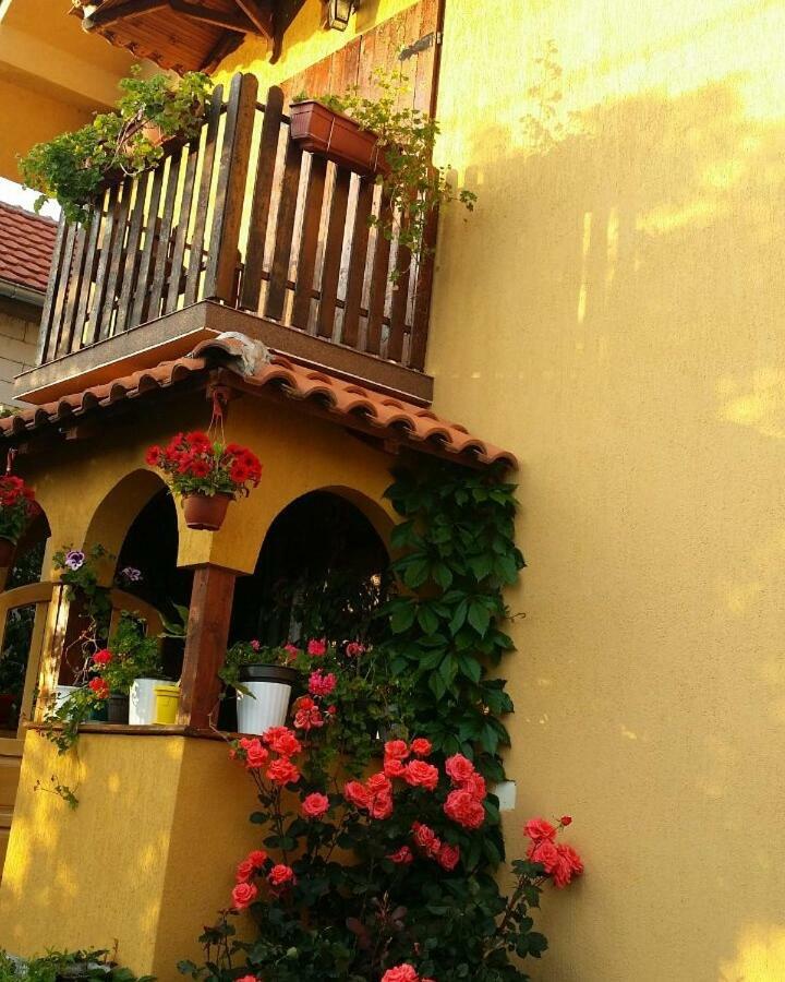 B&B Jonovic Donji Milanovac Exterior foto
