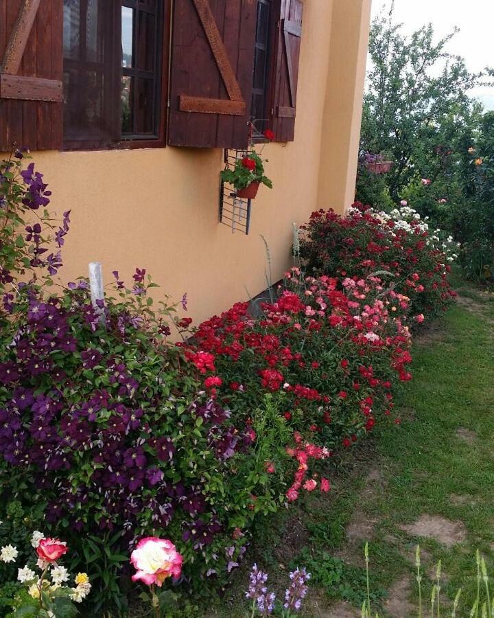B&B Jonovic Donji Milanovac Exterior foto
