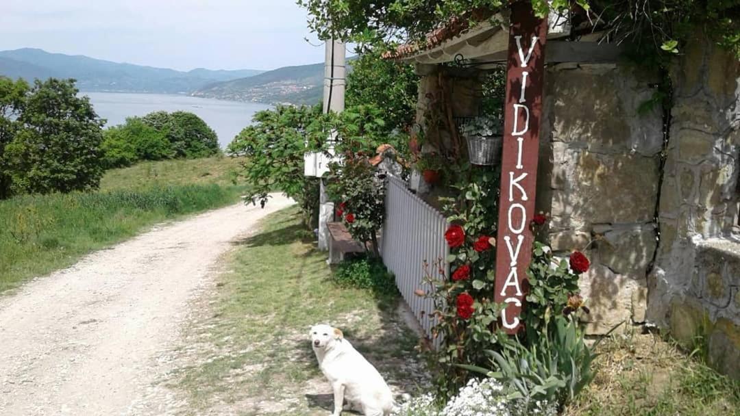 B&B Jonovic Donji Milanovac Exterior foto